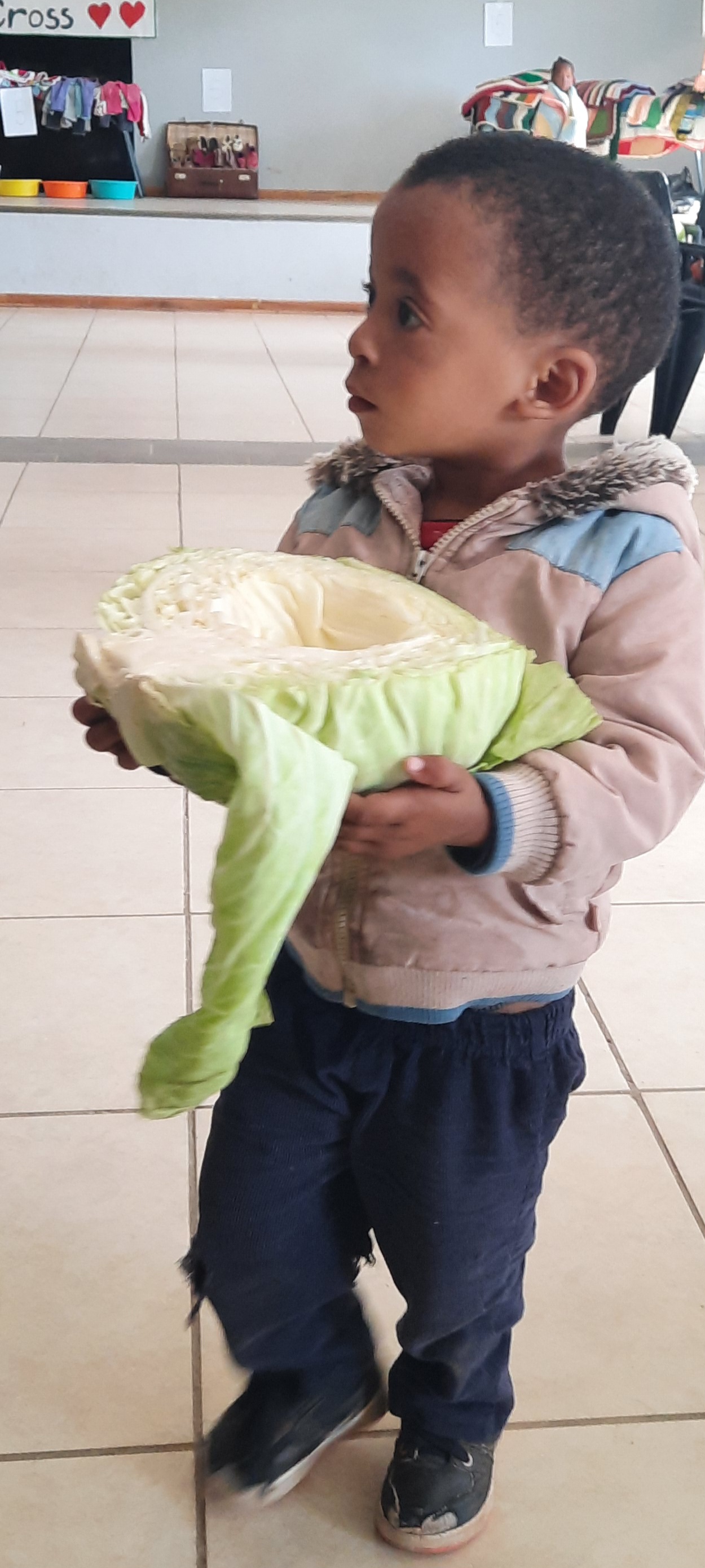 This image for Image Layouts addon